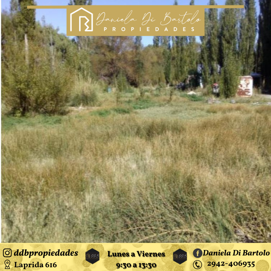 Amplio Terreno - La Buitrera