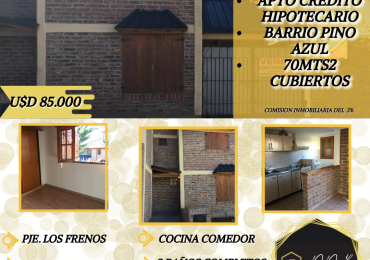 DUPLEX EN VENTA - PINO AZUL