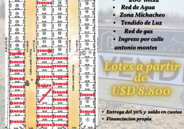 Loteo El Piñonero- Michacheo